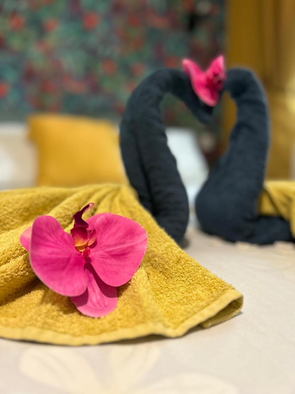 Le Palan Villa Saint Pierre Dış mekan fotoğraf